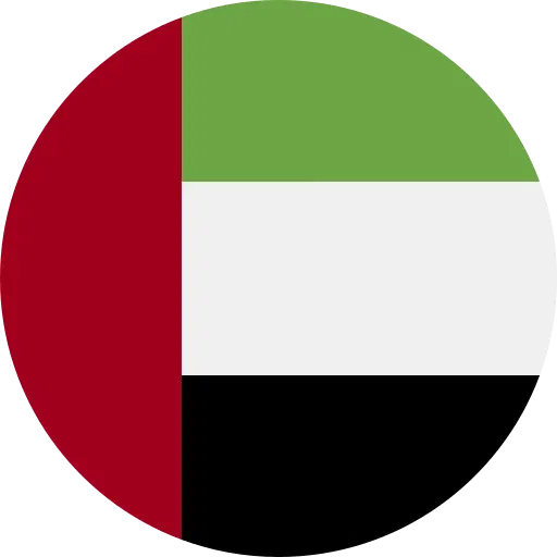 uae flag