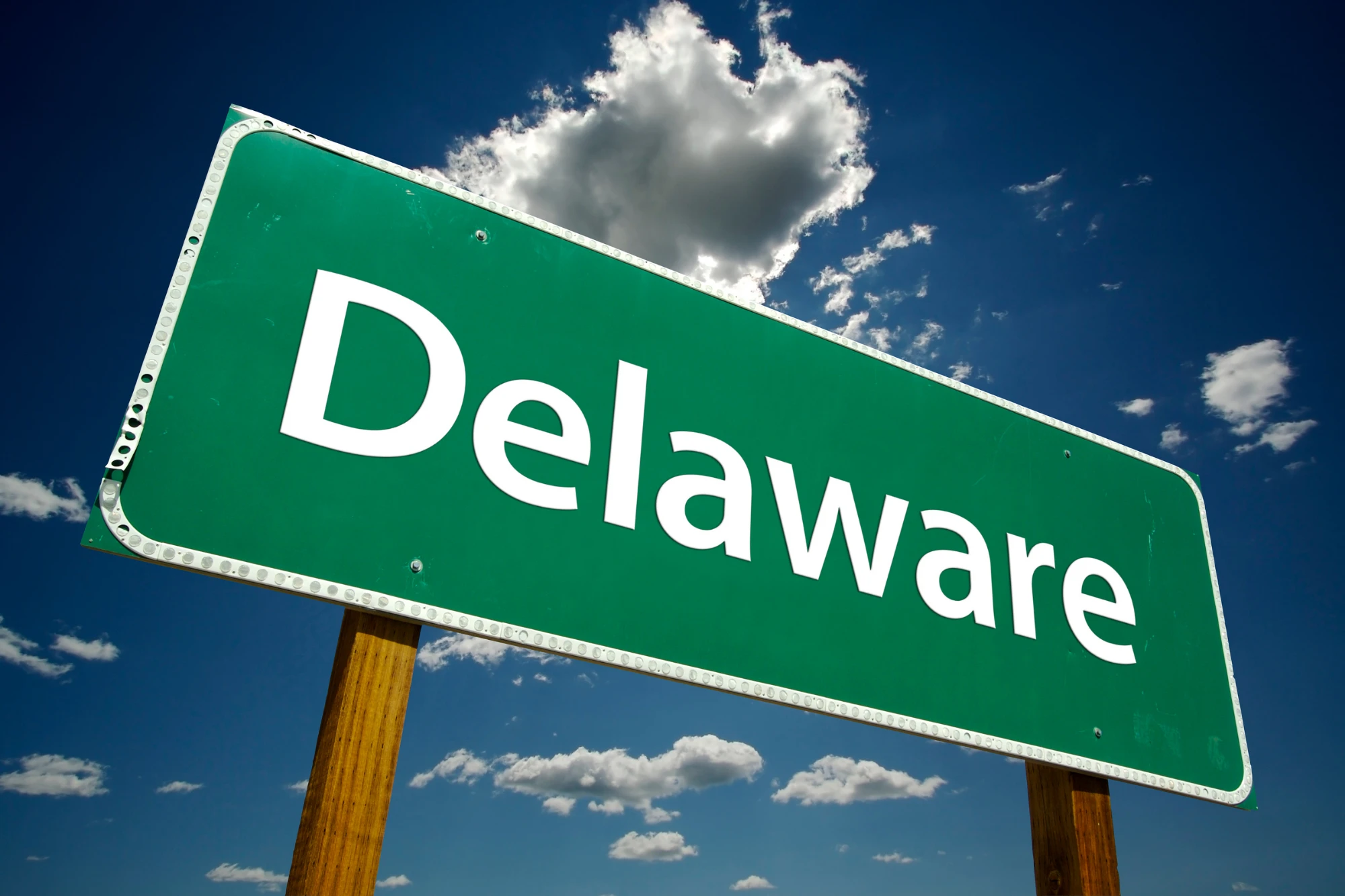 The Guide to the Delaware LLC