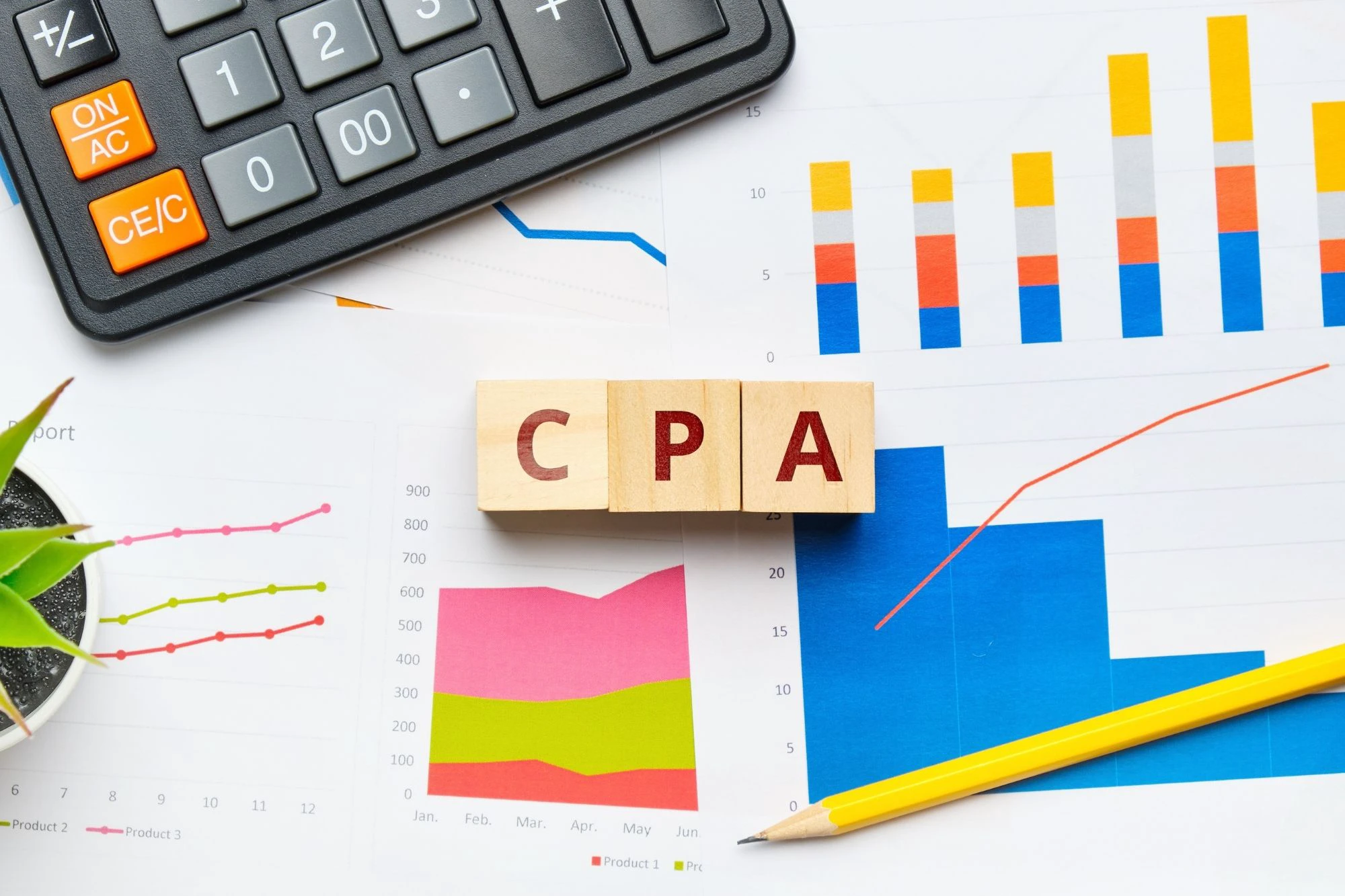 ABD'de Mali Müşavir (CPA) ile Çalışmak: Ne Yapar, Ne Kadar Tutar