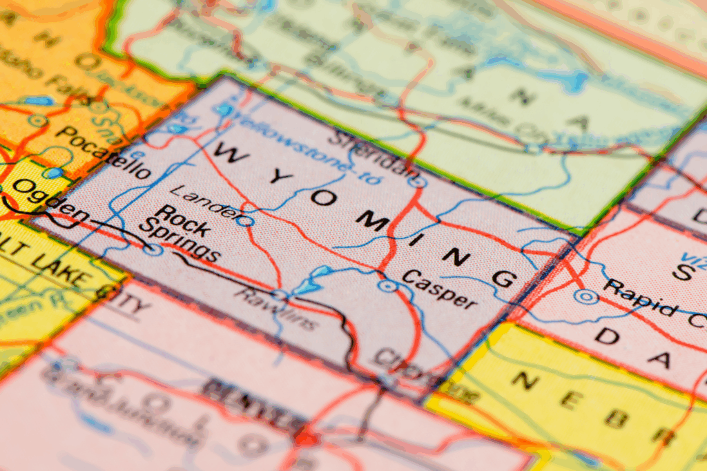 Wyoming LLC Kurulumu