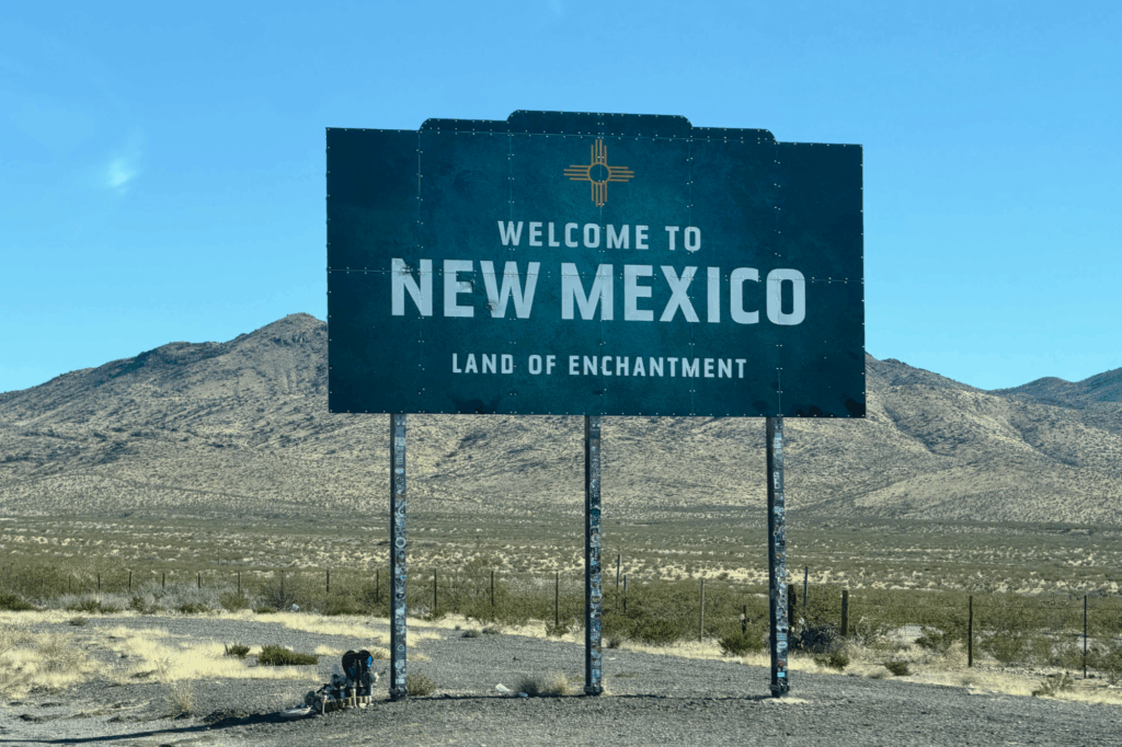 new mexico llc